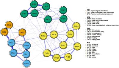 The relation between mental health and career-related stress among prospective graduates in higher education stage during the COVID-19 pandemic: an evidence based on network analysis